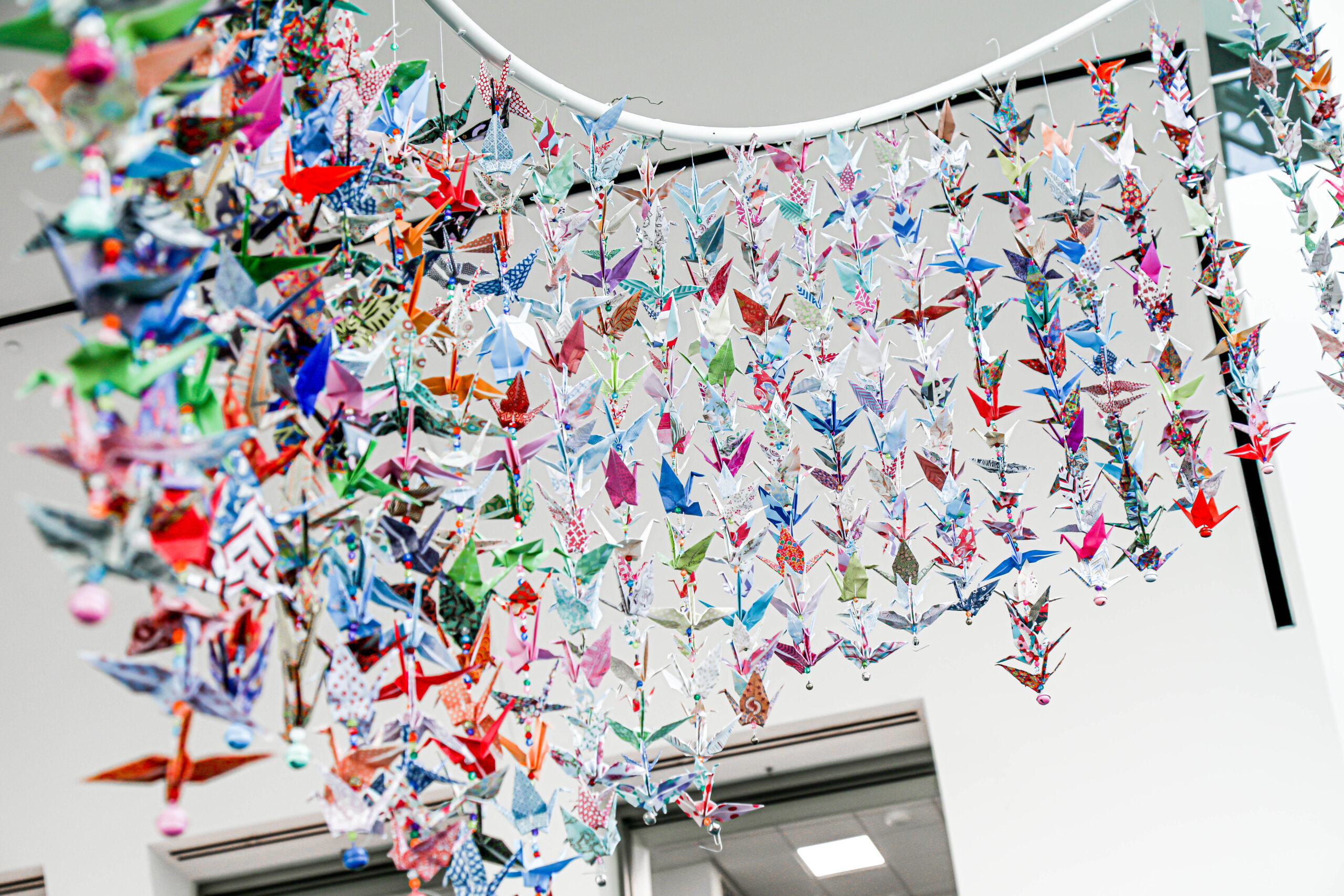 Origami cranes display at San Diego County Fair 2022